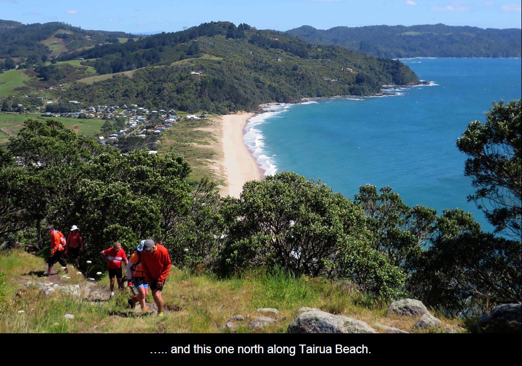 coro201530.jpg (286967 bytes)